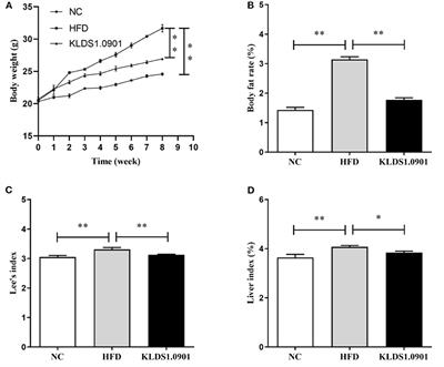 Assessing the in vivo ameliorative effects of Lactobacillus acidophilus KLDS1.0901 for induced non-alcoholic fatty liver disease treatment